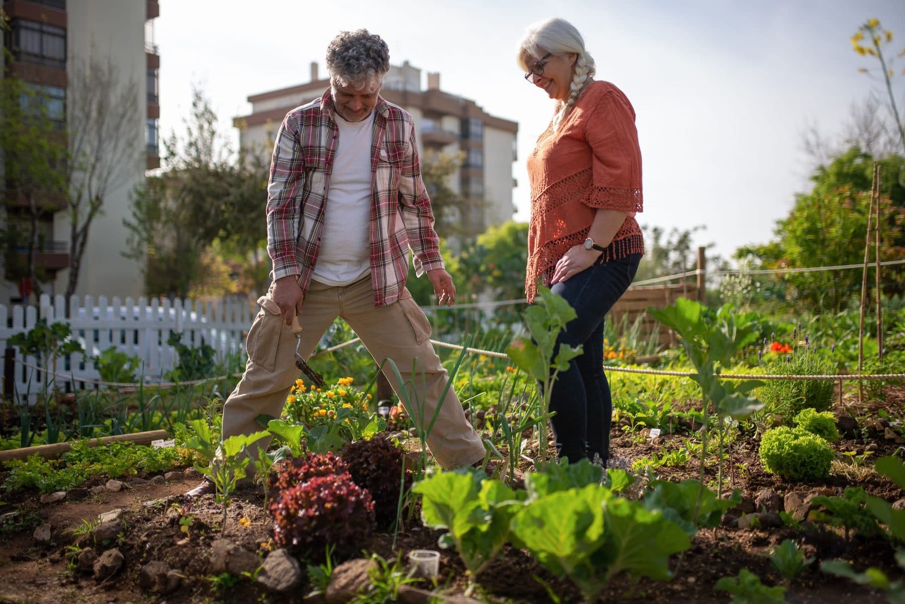 Un couple de retraités dans un potager, en fin de journée.